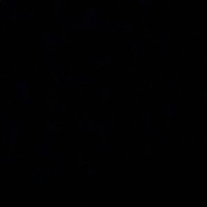 Meet your Posher, Justine